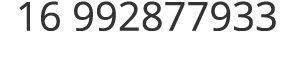 16 992877933